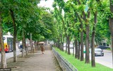 [ẢNH] Lạc lối giữa những con đường lãng mạn như phim trường